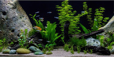180X46Cm Vinile Subacqueo
