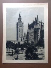 Spagna Siviglia Patio Aranci Torre Giralda Cattedrale Perdono del 1928