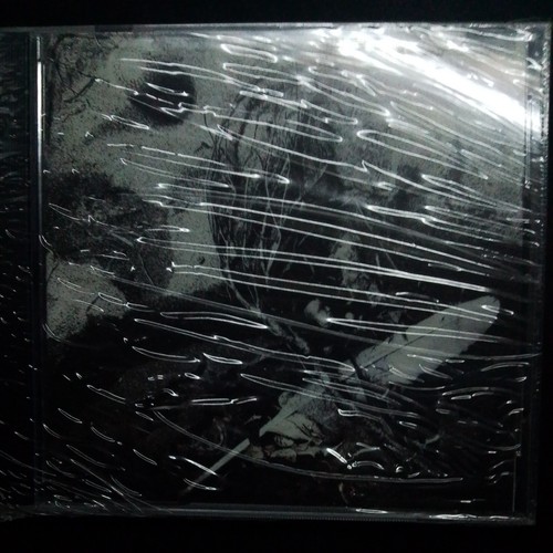 David sylvian secrets of the - -,