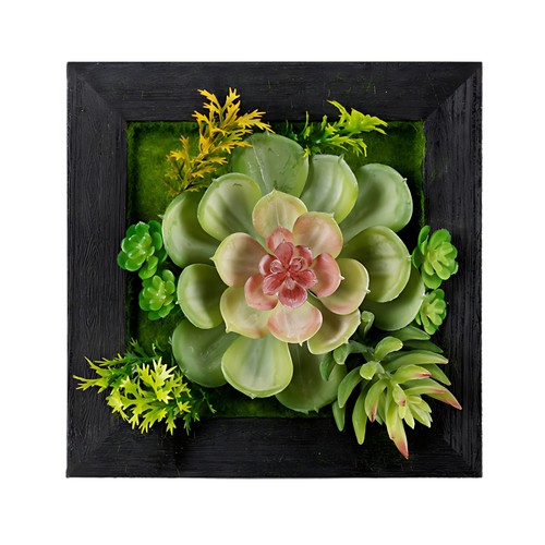 Scatola succulenta - , da