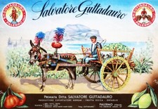 Manifesto Cucina Guttadauro