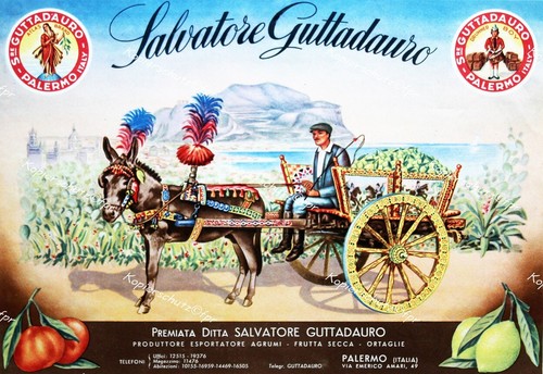Manifesto cucina guttadauro - cucina,