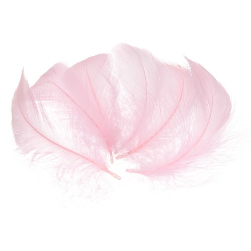 200 pcs piume per artigianato - pcs,
