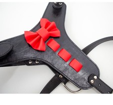 Imbracatura per Cani in Pelle