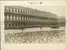 1924 Stampa Foto Piccioni