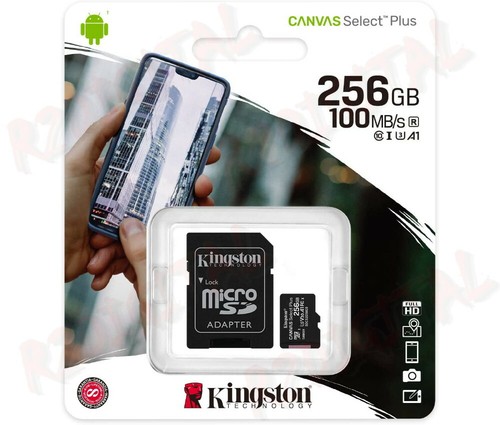 Kingston sdcs2 256gb - kingston, canvas
