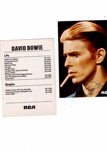 David bowie biglietto - bowie,