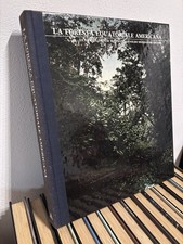 LA FORESTA EQUATORIALE