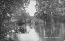 Bushkill Pennsylvania Peters Saw Mill vista panoramica cartolina d'epoca AA107310