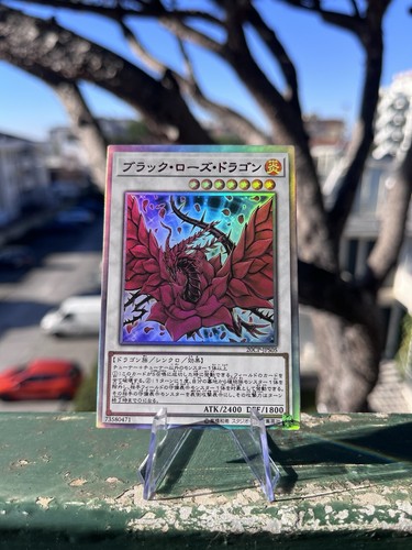 Yugioh diy black rose dragon - yugioh,