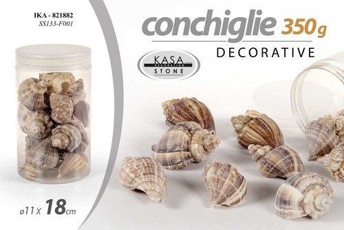 Conchiglie marine decorative - conchiglie,