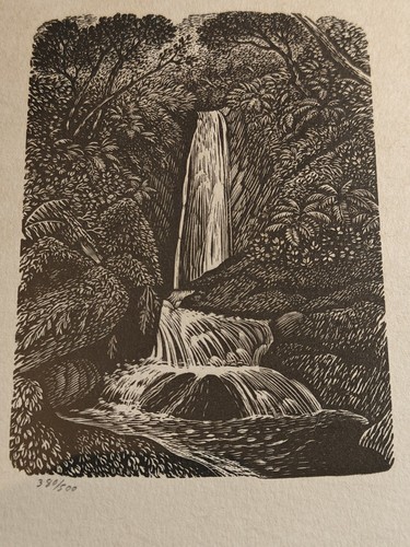 Pietra reynolds - di, (1909-1979)