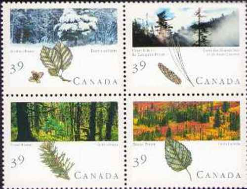 Canada forests 1283 - canada, sc
