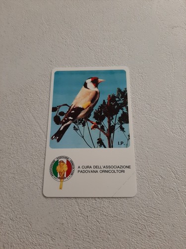 Schede telefoniche omaggio - telefoniche,