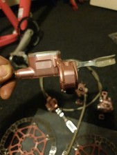 Speranza, Mono Mini, Rara