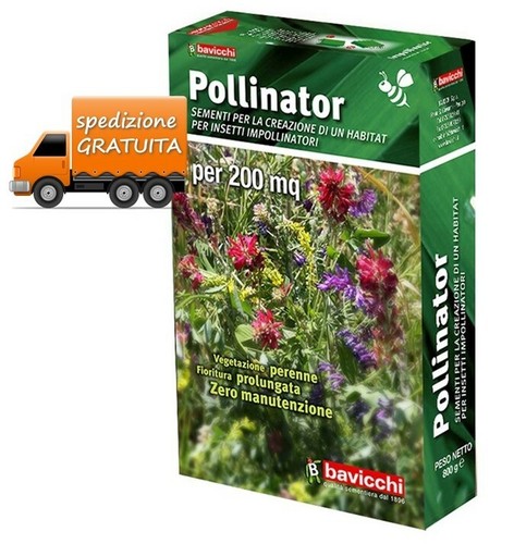 Seme per prato pollinator - prato, 800