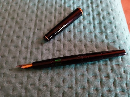 Penna stilografica montegrappa - stilografica,