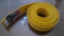 DAEDO, Cintura da karate Unisex adulto, GIALLO, 260 cm Sport