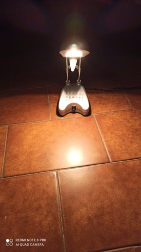 Lampada tavolo massive - tavolo,