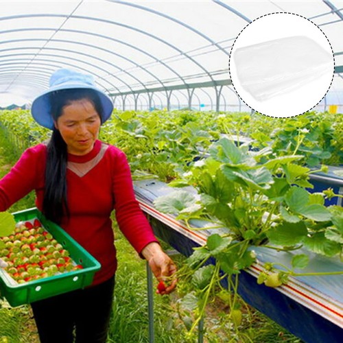 Film serre transparent - film,
