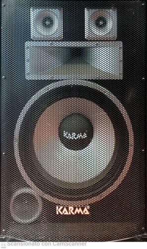 Cassa amplificata karma 150 - cassa,