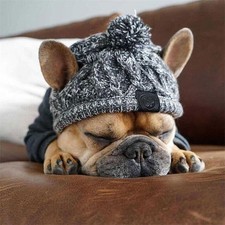 Cappello invernale per cani da