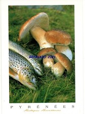 PIRENEI TROTE E BOLETI DELEVAY