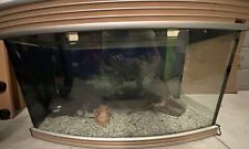 Acquario dimensioni 85x50x40 completo di mobile.