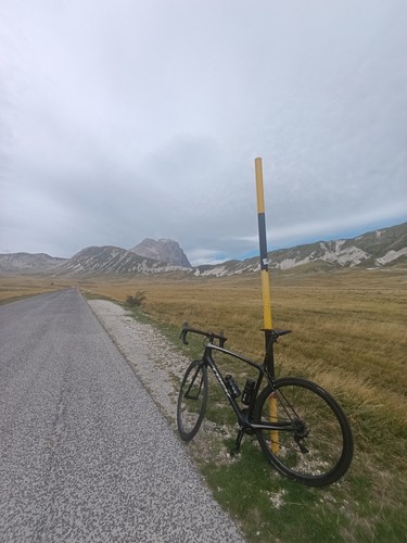 Bici corsa trek - trek, slr