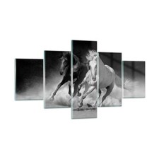 Quadro su Vetro 125x70cm