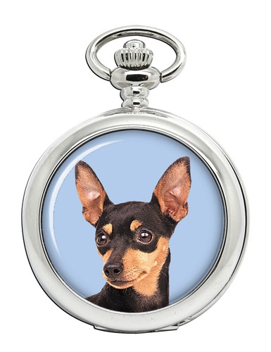 Orologio tasca pinscher - tasca, in