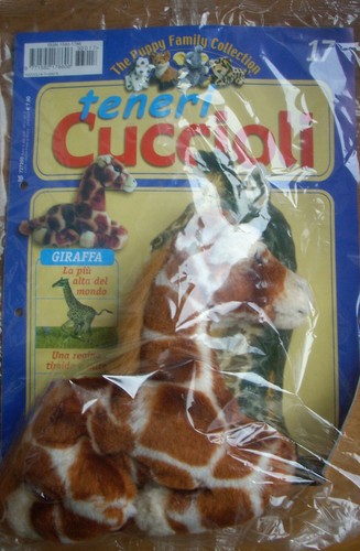Teneri cuccioli 17 - teneri, n.