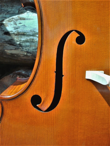Violoncello f ruggieri - violoncello,
