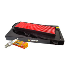 Filtro aria Nypso 100602671