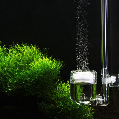 Atomizzatore co2 design - atomizzatore,