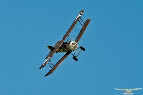 Sopwith camel pollici - camel,