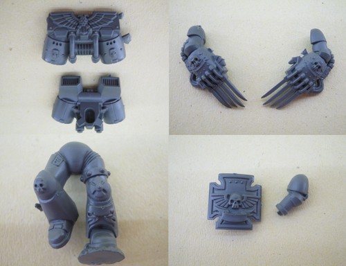 Space marine vanguard - vanguard, veteran