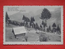 CARNIA PITTORESCA Rapisardi Udine montagna vecchia cartolina