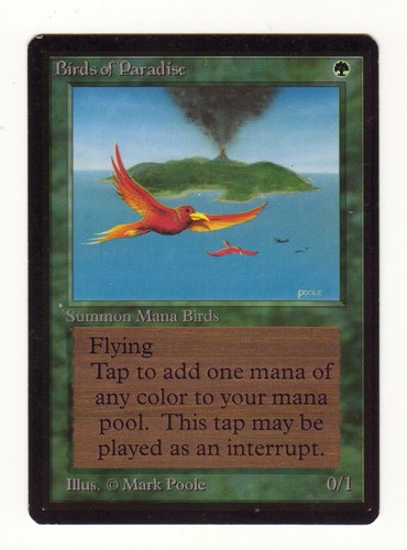 Magic the gathering beta - the,