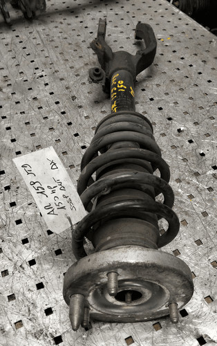 50515149 ammortizzatore ant - ammortizzatore,