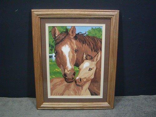 Cavallo puledro incorniciato - cavallo,