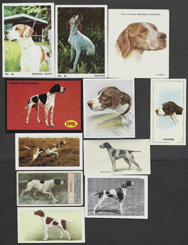 Diverse carte vintage - 11,