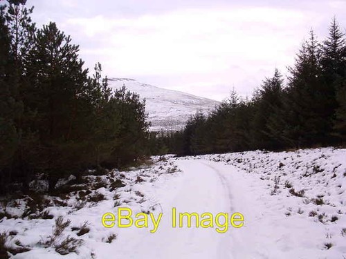 Photo 6x4 scaut - photo, comes