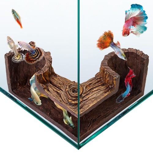 Fishnosh acquario grotta - fishnosh,