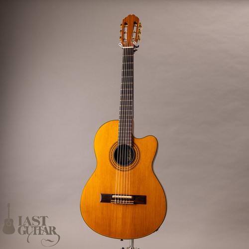 Gibson chet atkins 1991 - gibson,