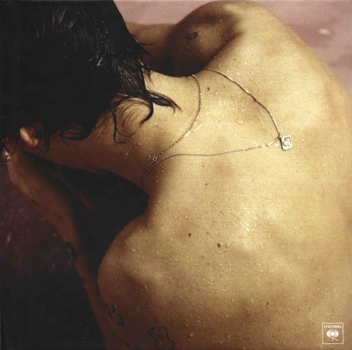 Harry styles - harry,