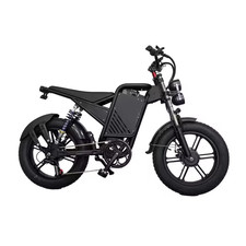 E-Bike 20 Pollici Doppio
