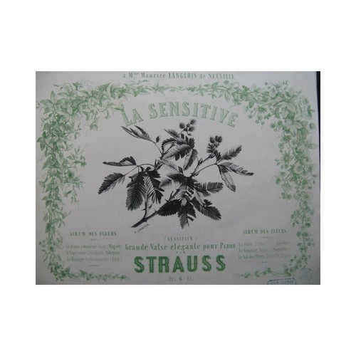 Strauss pianoforte - il,
