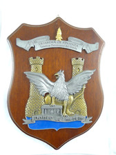 CREST  MILITARE GUARDIA DI