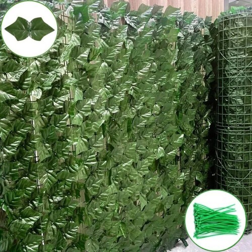 Siepe visiva edera - 3m,